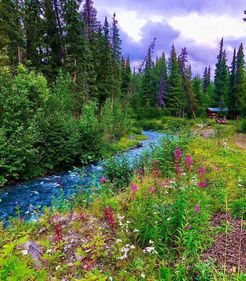 Carlo Creek Cabins Denali Park 외부 사진