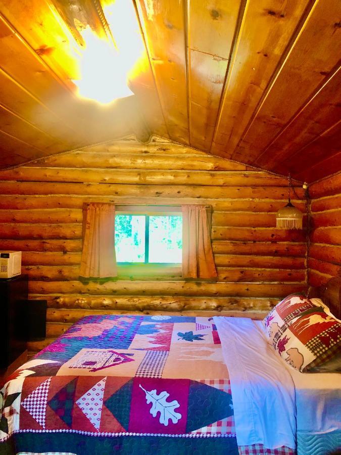 Carlo Creek Cabins Denali Park 외부 사진