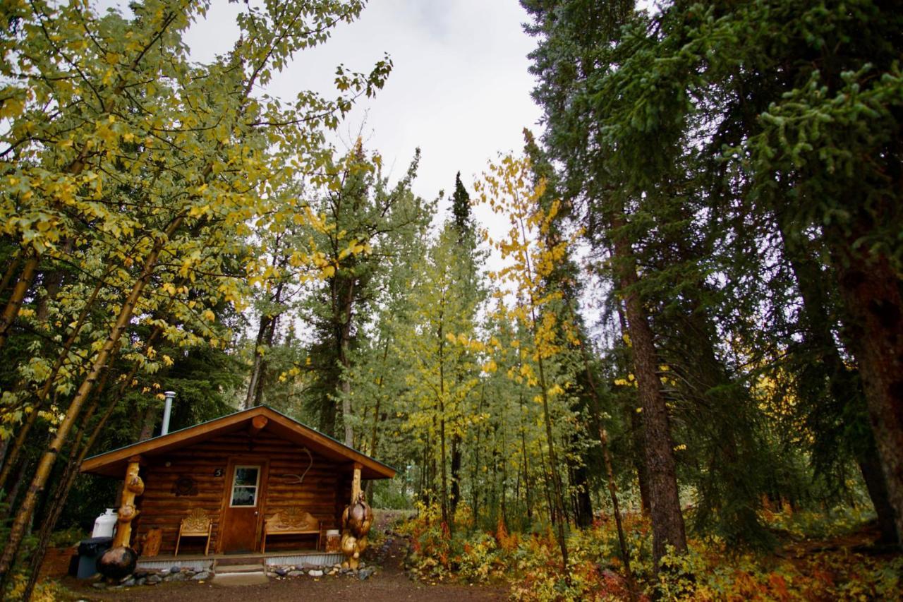 Carlo Creek Cabins Denali Park 외부 사진