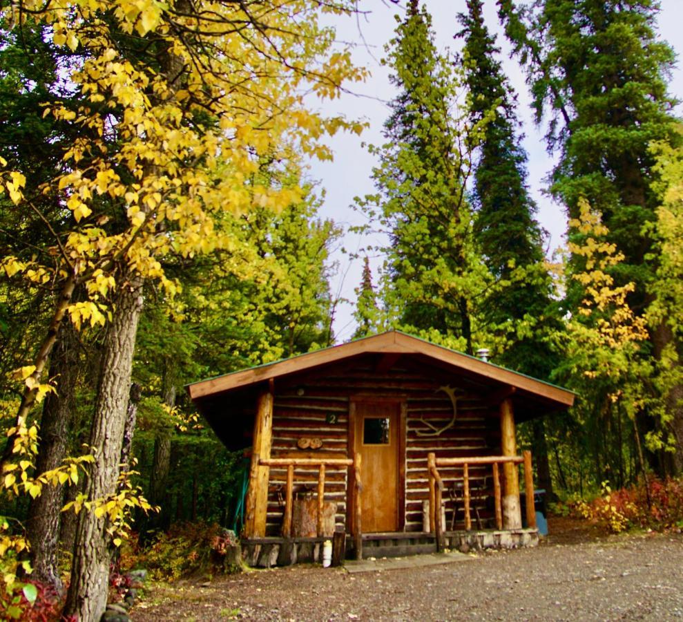 Carlo Creek Cabins Denali Park 외부 사진