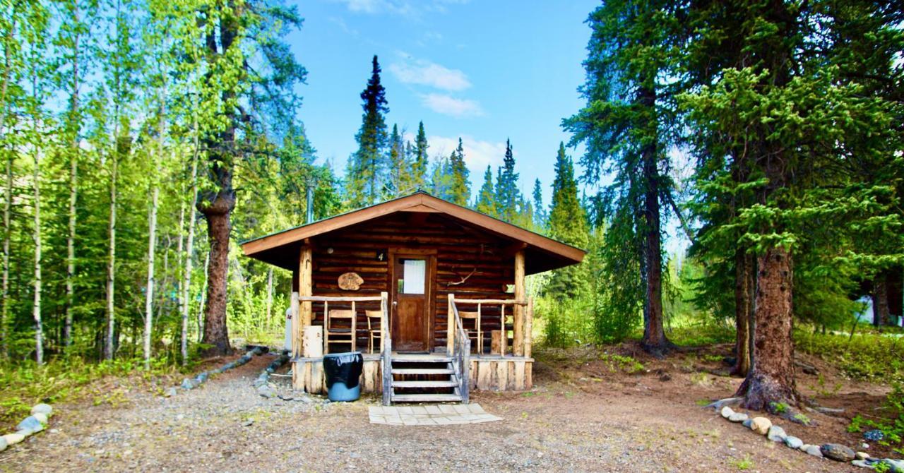 Carlo Creek Cabins Denali Park 외부 사진