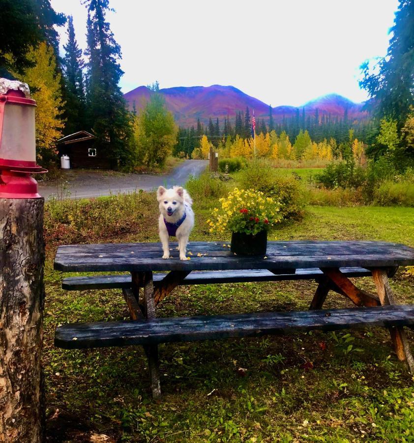 Carlo Creek Cabins Denali Park 외부 사진