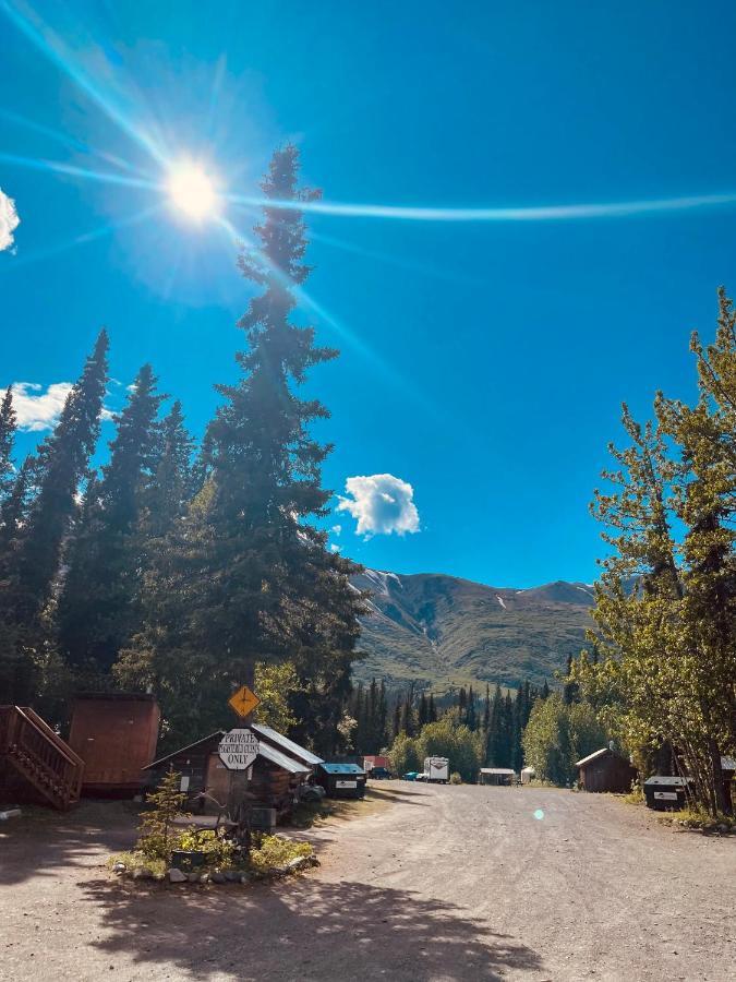 Carlo Creek Cabins Denali Park 외부 사진