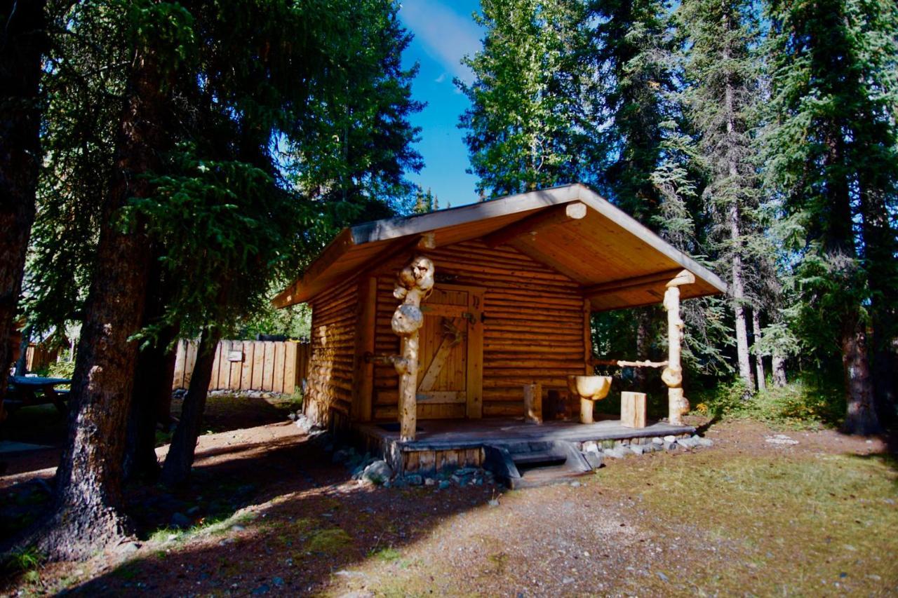Carlo Creek Cabins Denali Park 외부 사진