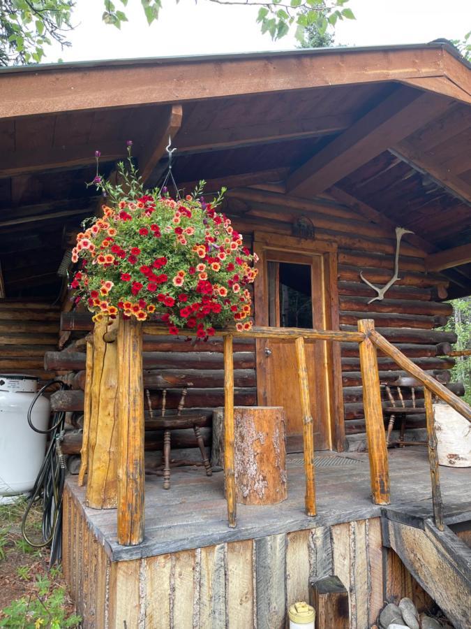 Carlo Creek Cabins Denali Park 외부 사진