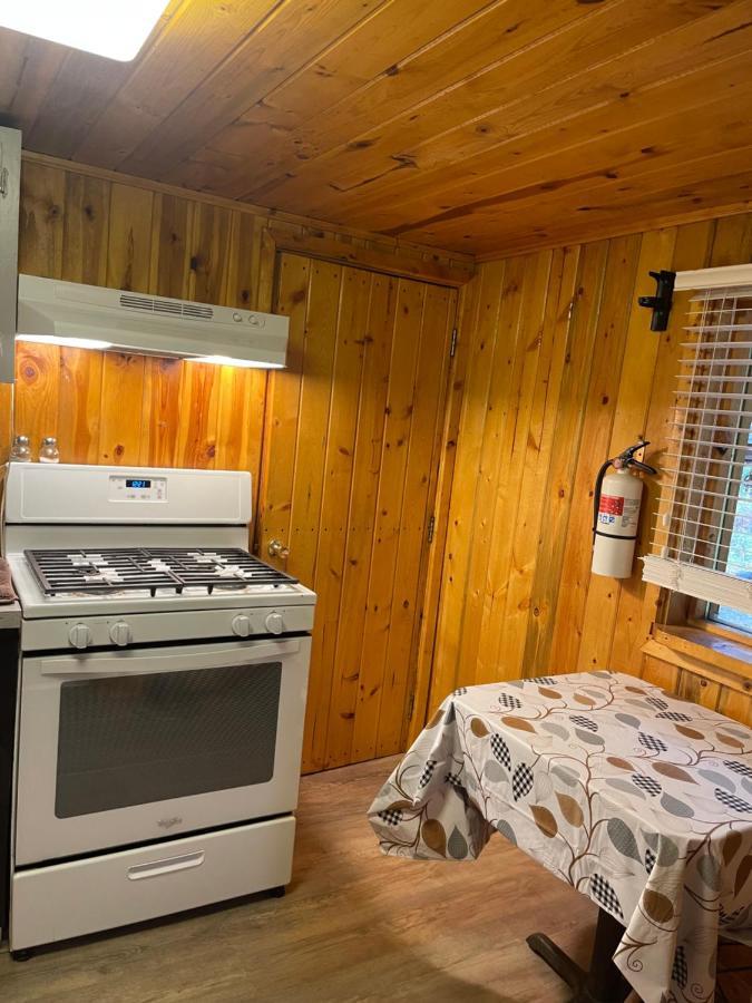 Carlo Creek Cabins Denali Park 외부 사진