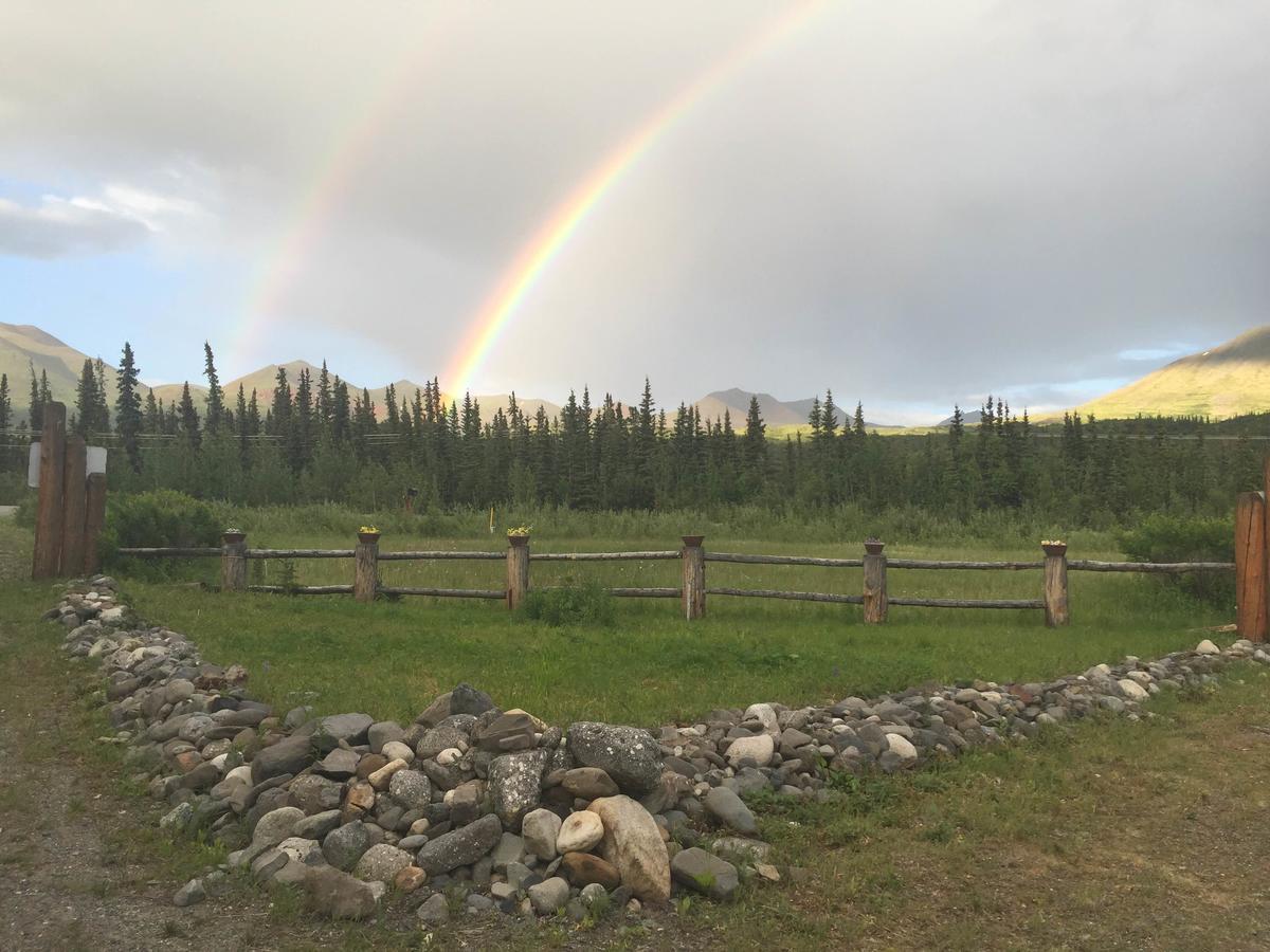 Carlo Creek Cabins Denali Park 외부 사진