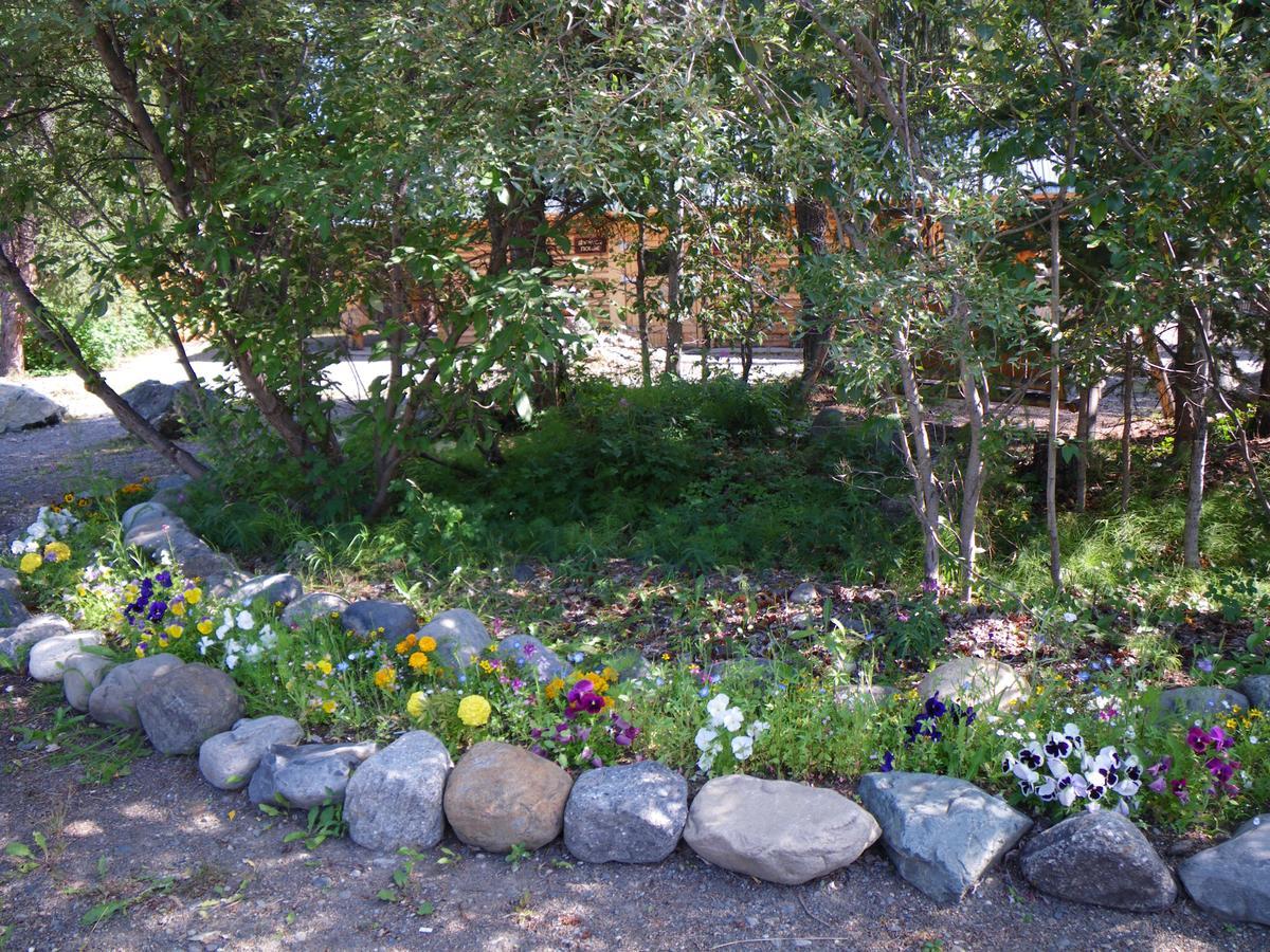 Carlo Creek Cabins Denali Park 외부 사진