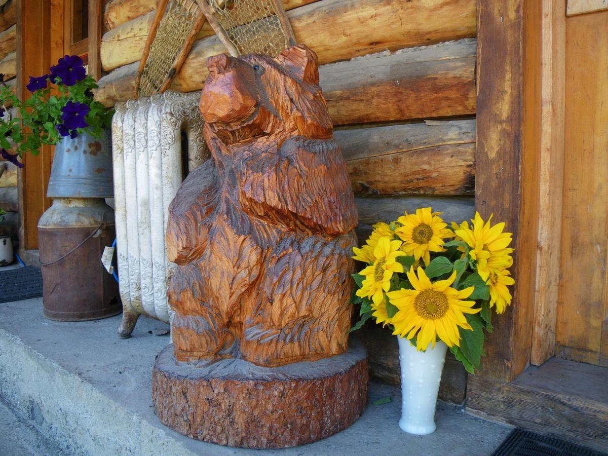 Carlo Creek Cabins Denali Park 외부 사진