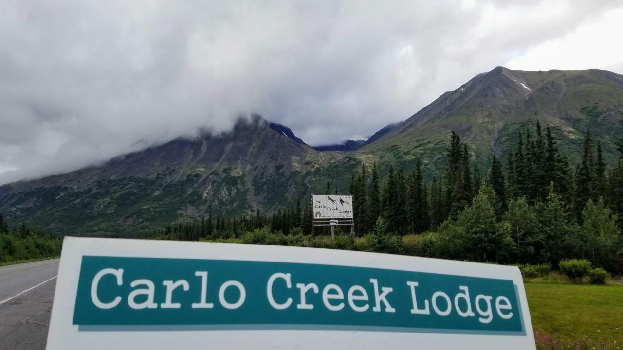 Carlo Creek Cabins Denali Park 외부 사진