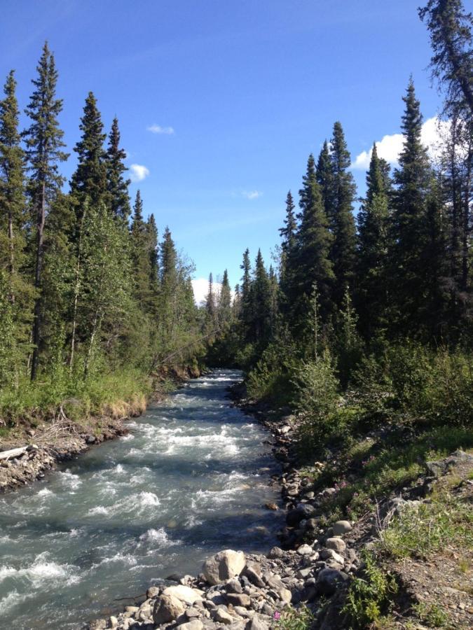 Carlo Creek Cabins Denali Park 외부 사진