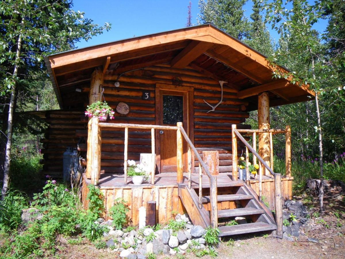 Carlo Creek Cabins Denali Park 외부 사진